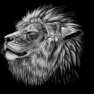 Meet your Posher, Donald